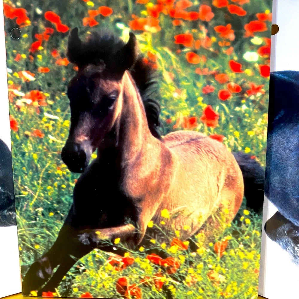HORSE VINTAGE 2000 MEAD PORTFOLIO 3 RING BINDER FOLDERS EQUUS BUNDLE OF 3